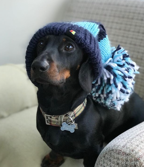 Easter Special Blog | Big Bobble Hats