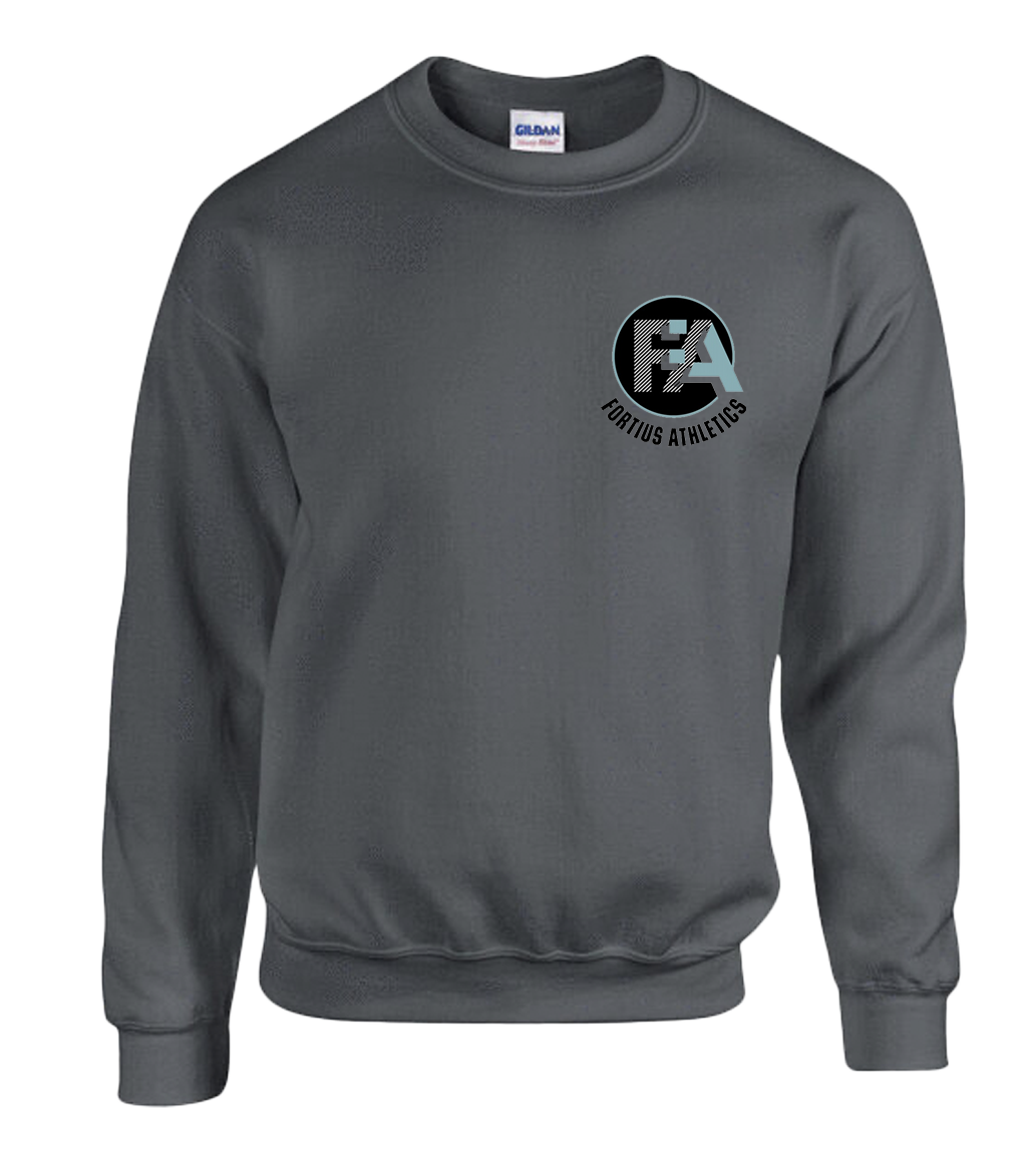 Fortius Grey Sweatshirt