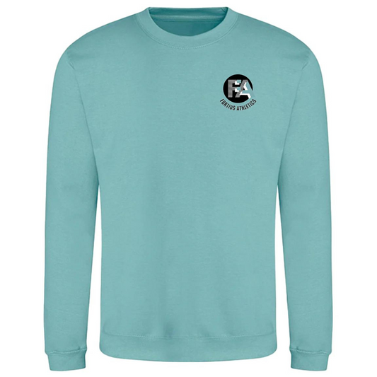 Medium Fortius Teal Sweatshirt